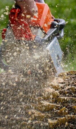 Tree Removal Fairfax IA