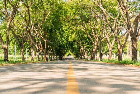 Tree Service Columbus Junction IA