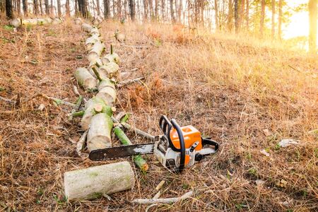 Tree Service Coralville IA