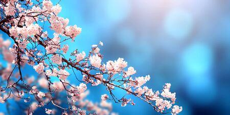 Tree Service Letts IA