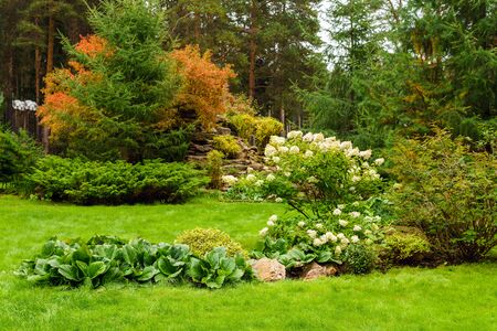 Tree Service Solon IA