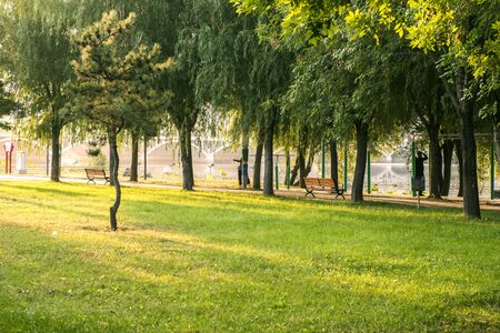 Tree Service Wyoming IA